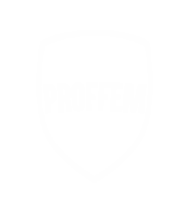 Logo PROFFEM