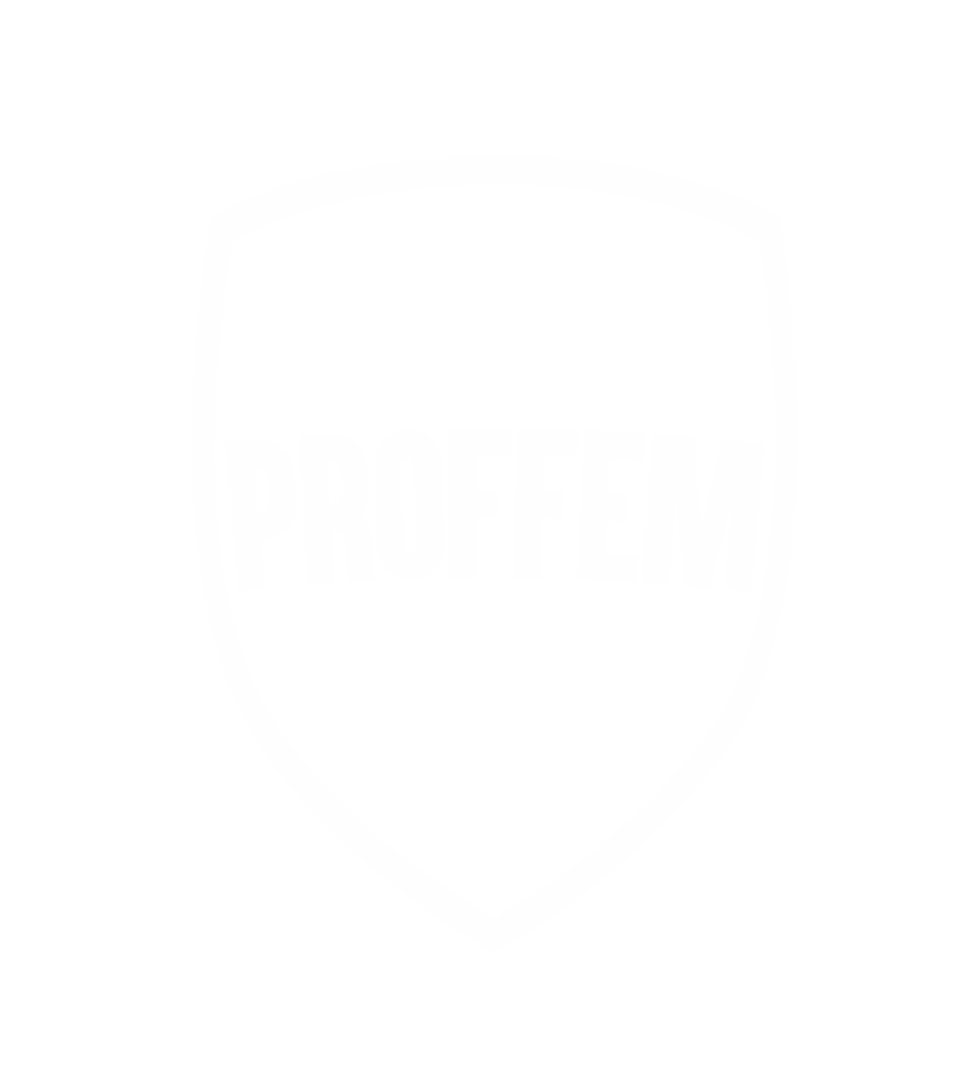 Logo PROFFEM